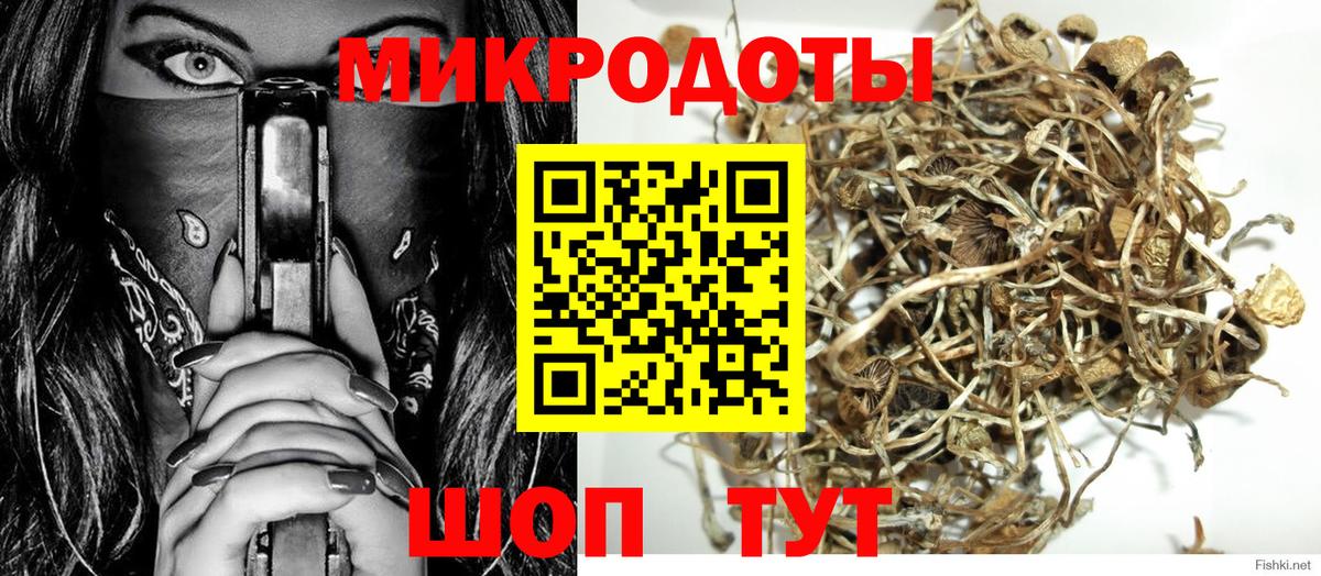Ишим  как найти закладки  Вход с VPN  Псилоцибиновые грибы ЛСД 
